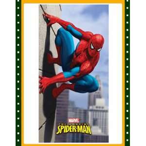  New The Amazing Spiderman On Building Decor Banner Flag 