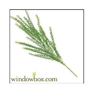  36 Artificial Barberry Branch Outdoor Rated  Green