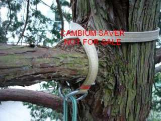 CAMBIUM SAVER RETRIEVER   Arborist Tree Climbing Surgeon   *SOLUTION 