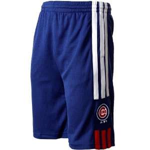   Chicago Cubs Youth Pre Game Shorts   Royal Blue: Sports & Outdoors