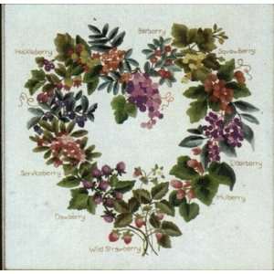  Wild Berries   Embroidery Kit Arts, Crafts & Sewing
