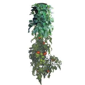  Topsy Turvy Tomato & Herb Planter with Bottom Patio, Lawn 