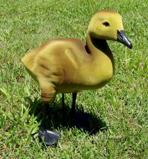 DAKOTA BABY GOOSE GOSLING DECOYS LAWN YARD ORNAMENTS UP  