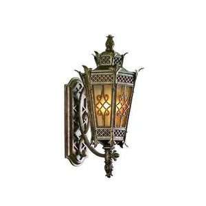   Light in Avignon Bronze with Two Toned Amber glass