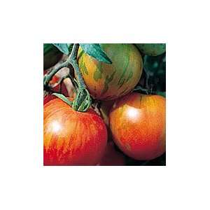  Tigerella Orange Slicing Tomato Patio, Lawn & Garden