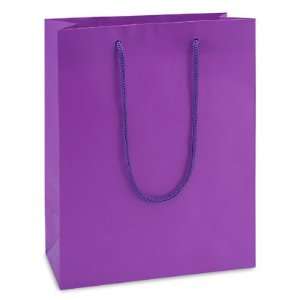  8 x 4 x 10 Cub Purple Matte Laminate Bags Health 