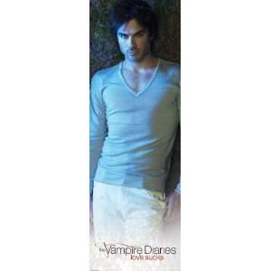  Television Posters: Vampire Diaries   Damon   61.6x20.7 