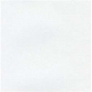   Shades Solid Standard Foundation Blackout, White L8901