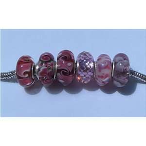   PINKS Mix Starter Set Murano Glass Lot 925 Silver European Charm Beads
