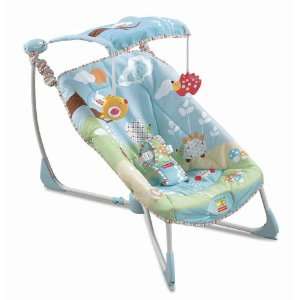  Fisher Price Soothe & Go Bouncy Seat: Baby
