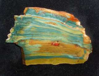 Gary Green Jasper Slab 1lb. 6 oz. HS WoW  