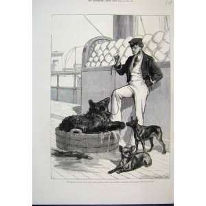   1876 Prince Serapis Black Bear Tailless Dog Old Print: Home & Kitchen
