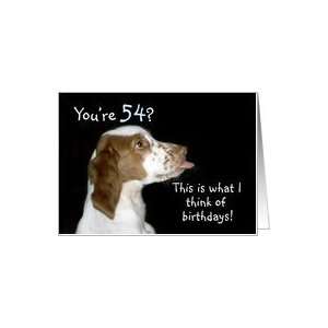 Brittany Spaniel Birthday 54 Card