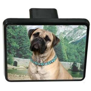  BullMastiff Trailer Hitch Cover