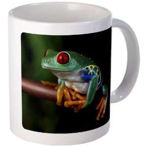  Mug (Coffee Drink Cup) Red Eyed Tree Frog: Everything Else