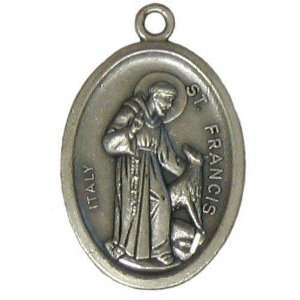  St. Francis Pet Medal (1 H): Pet Supplies