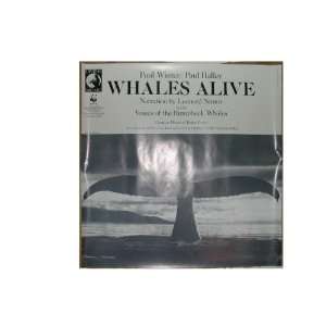 Whales Alive Poster Lenord Nimoy 