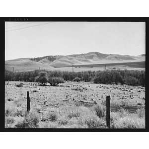   FSA migrant camp,California,Kern County,CA,1938: Home & Kitchen