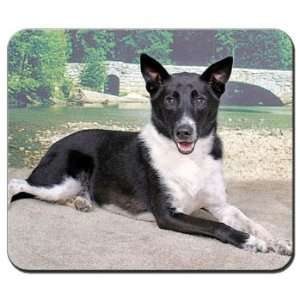  Canaan Dog Mousepad: Office Products