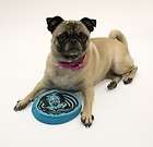 Gumabone Frisbee for SMALL Dogs (NF 300) 018214449058  