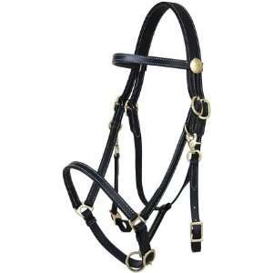  Trail Rider Collection 5/8 Halter Bridle Sports 
