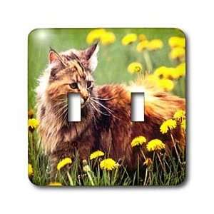 Cats   Cat In The Flower Field   Light Switch Covers   double toggle 