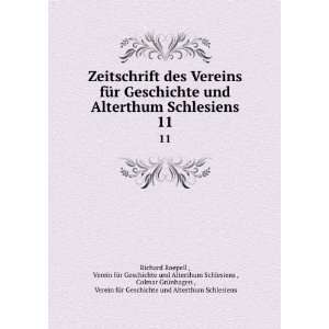   fÃ¼r Geschichte und Alterthum Schlesiens Richard Roepell : Books
