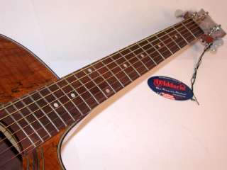 Dean Exotica Acoustic Electric Guitar, Spalt Maple, NEW  
