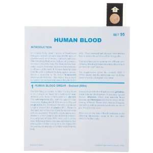   Educational T 95 F Microslide Human Blood Lesson Plan Set, French Text