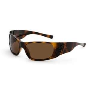  Black Flys Sunglasses Sonic II / Frame Shiny Tortoise 