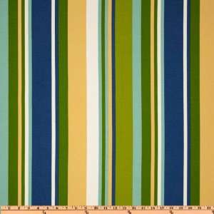  54 Wide Richloom Solarium Outdoor McCoury Stripe Pool Fabric 