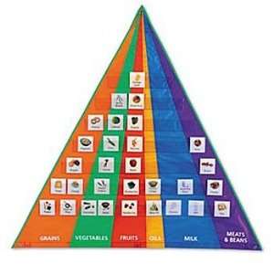 Food Pyramid Pocket Chart & Cards:  Industrial & Scientific