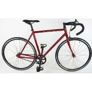   Red 61cm Track Fixed Gear Single Speed Road Bike: Sports & Outdoors