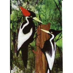  Ivory Billed Woodpecker   28 X 40 House Flag Everything 