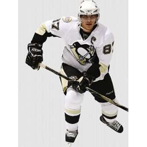   Fathead NHL Players & Logos Sidney Crosby 7171201: Home Improvement