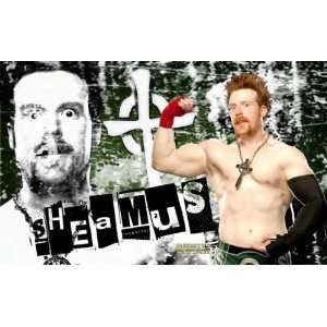  Sheamus WWE 8x11.5 Picture Mini Poster