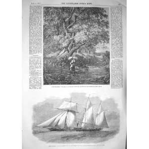  1857 EMPEROR YACHT BRITISH SHIP RIVER BROOK TREES LADY 