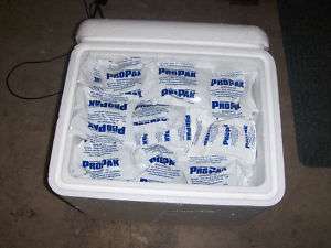 Propak Ice pack cooler Refrigerant Gel 30 count  