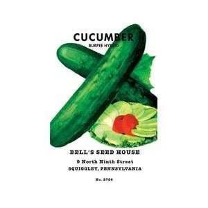  Cucumber Burpee Hybrid 12x18 Giclee on canvas