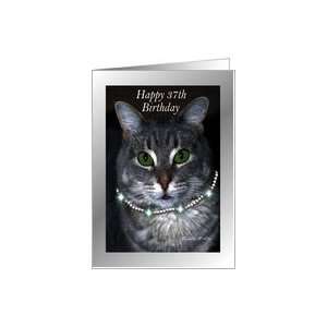  37th Happy Birthday ~ Spaz the Cat Card: Toys & Games