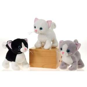  New   6 3 Assorted Cute Kittens Case Pack 48   437018 