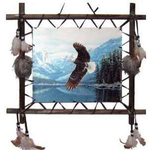   16 Dream Catcher Eagle Soaring Over Lake In Snow Mountains Picture