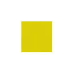  Jacquard Procion MX Fiber Reactive Dye lemon yellow Arts 