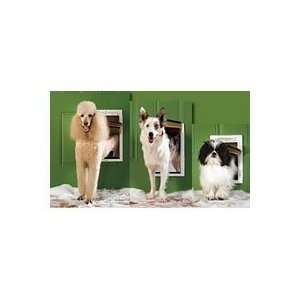  PetSafe Door PS Extreme PPA0010984 Extreme Weather Door 