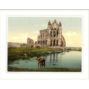  Whitby the abbey II. Yorkshire England, c. 1890s, (M 