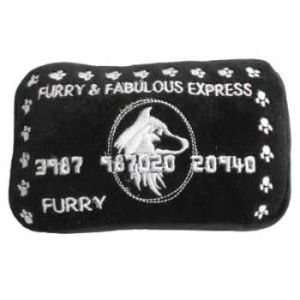  Furry & Fabulous Express Credit Card Toy: Pet Supplies