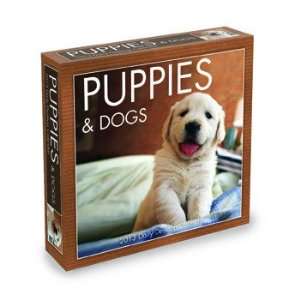    Puppies & Dogs 2013 Daily Boxed Desktop Calendar: Office Products