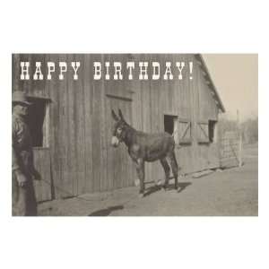  Happy Birthday, Mule and Man Premium Poster Print, 16x24 