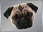 PUG Head vinyl decal dog car iPhone Laptop stickers