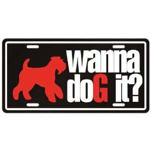  New  Welsh Terrier / Wanna Dog It ?  License Plate Dog 